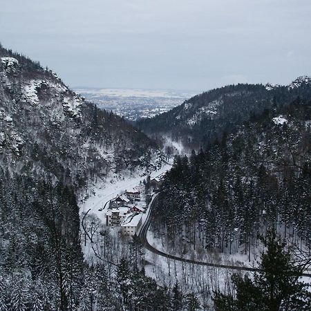 Wohlfuehlzeit Im Zittauer Gebirge Appartement Buitenkant foto
