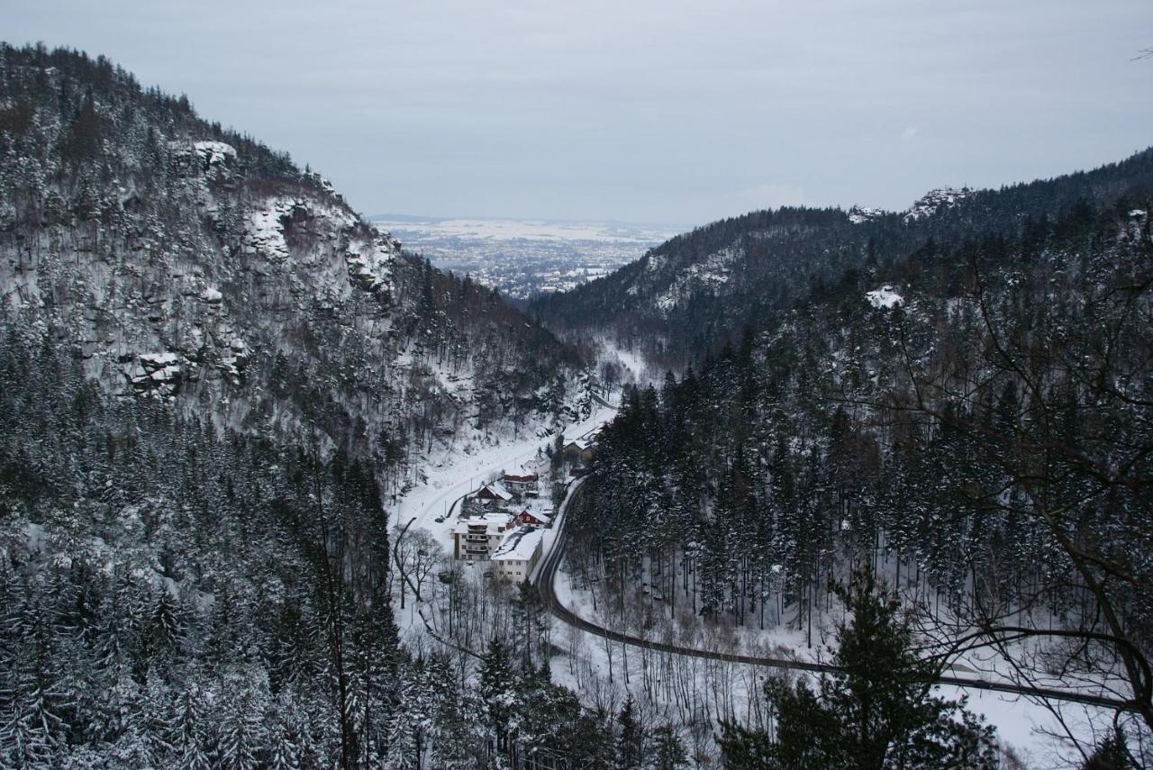 Wohlfuehlzeit Im Zittauer Gebirge Appartement Buitenkant foto