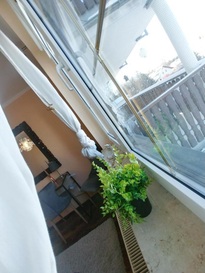 Wohlfuehlzeit Im Zittauer Gebirge Appartement Buitenkant foto